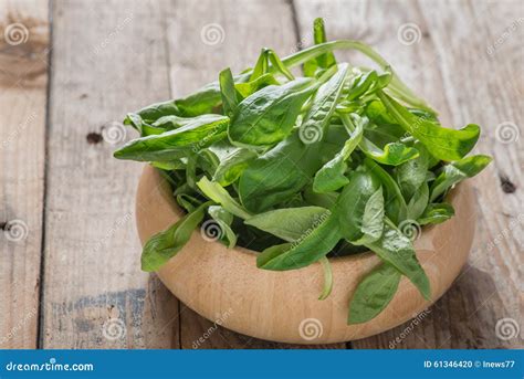 mache lettuce corn salad lambs lettuce stock photo image