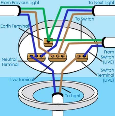 wire  ceiling rose correctly home electrical wiring basic electrical wiring