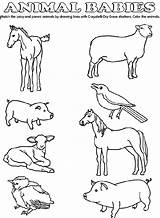 Baby Match Animal Coloring Pages Animals Crayola Their Au sketch template