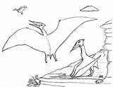 Antarctica Pterosaur Pages sketch template
