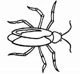 Cockroach Coloring Pages Para Colorear Kids Clipart Coloringcrew Color Cucaracha Cliparts Imagen Clip Library Marking Ww1 Airplane American Results Related sketch template