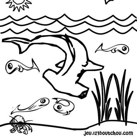 drawing shark  animals printable coloring pages