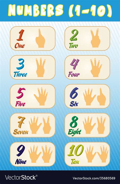 numbers    education poster  kids vector image