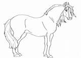 Paarden Dieren Makkelijk Fjord Animaatjes Equine Coloriages sketch template