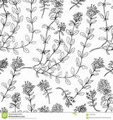 Koken Witte Bloemenpatroon Kruidige Getrokken Naadloze Natuurlijke sketch template