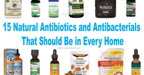 natural antibiotics  antibacterials      home  love fruit