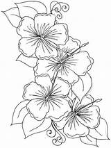 Hibiscus Mycoloring Tattoos Paintingvalley sketch template