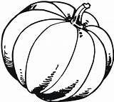 Pumpkin Coloring Pages Outline Printable Drawing Blank Kids Fall Template Patch Scary Gourd Pumpkins Print Color Clipartmag Benefits Drawings Getdrawings sketch template