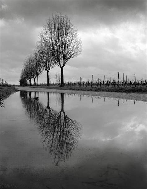 sammelthema landschaften  schwarzweiss eure besten bilder seite