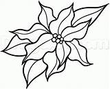 Poinsettia Rose Clipartmag Dragoart sketch template