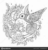 Hummingbird Mandala Colibri Mandalas Dxf Eps Kolorystyki Książka Colibrí Coloriage Colibríes Colibries sketch template