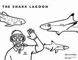 Coloring Sharks Sheets Aquarium Sheet Pacific Multimedia Aquariumofpacific sketch template