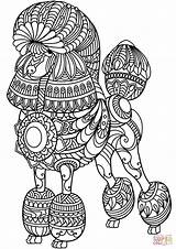 Coloring Poodle Zentangle Pages sketch template