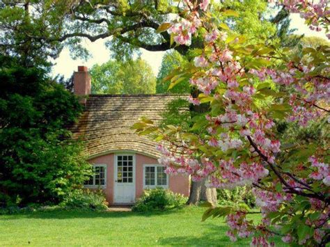 cute  cottage  dream    cottage pinterest