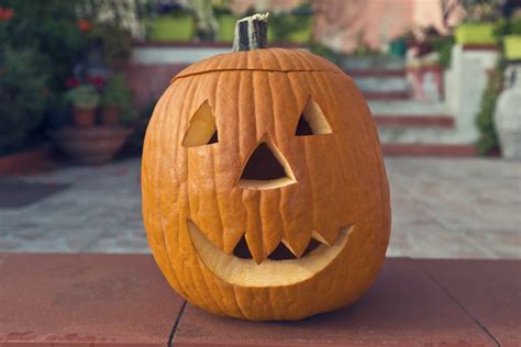 carve a pumpkin these are the best things to do in the fall
