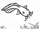 Ikan Lele Mewarnai Catfish Sketsa Kolase Bandeng Kunjungi Disimpan Gambarmewarnai sketch template