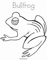 Coloring Bullfrog Tadpole Frog Frogs Pages Noodle Hibernate Printable Color Twistynoodle Built California Usa Drawings Getcolorings Outline Twisty 76kb sketch template