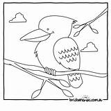 Kookaburra Outback Brisbane Brisbanekids Aboriginal Bird Designlooter Malvorlagen Getcolorings Schnabeltier Coloringhome sketch template
