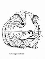 Ausdrucken Meerschweinchen Mandalas Ausmalen Ausmalbild Mandala Ausmalbilder Tiermandala Malvorlagen Kinderbilder Kostenlos Animaux Mosaik Coloriage Tigre Drucken sketch template