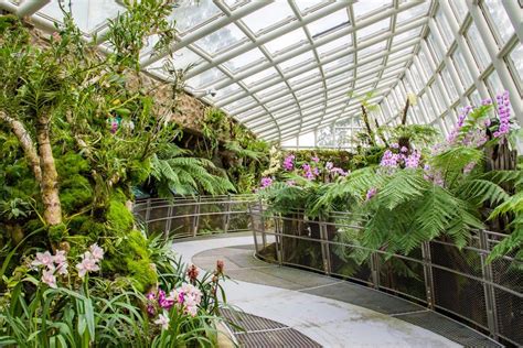 Viaja Con Estos 4 Jardines Botánicos Que Te Enamorarán Maschic Maschic