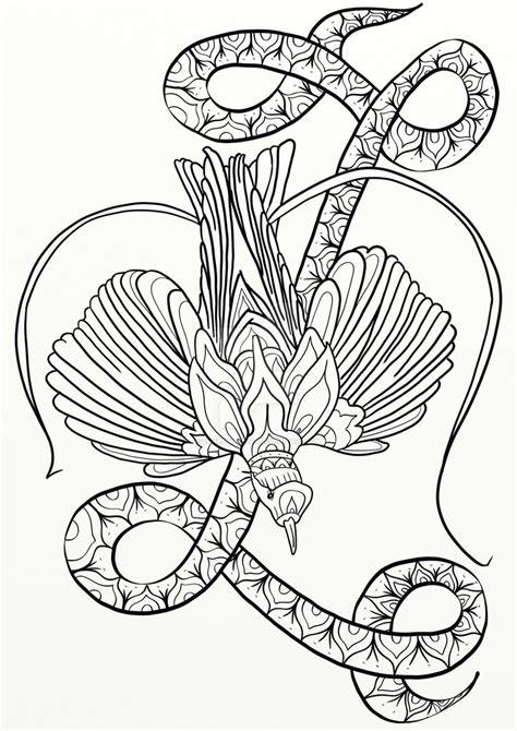 bird  paradise coloring page  getdrawings