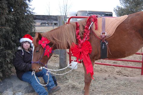 dressing   horse  christmas horses horse gear horseback riding