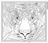 Complicated Coloring Printable Pages Getcolorings sketch template