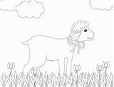 Easter Coloring Lamb Kids Pages sketch template
