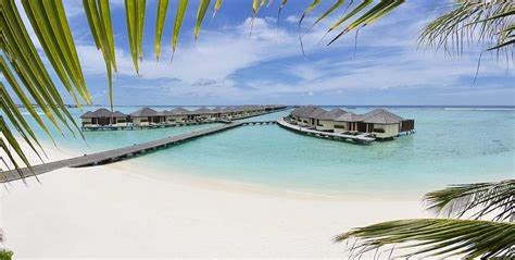 paradise island resort spa arenatours