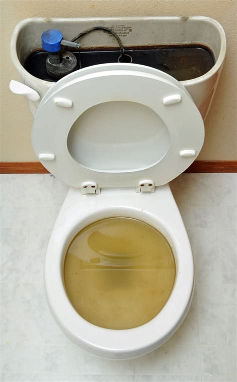 fixing toilet overflow water damage   business roth companies