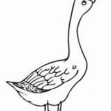 Goose Coloring Angry Netart sketch template