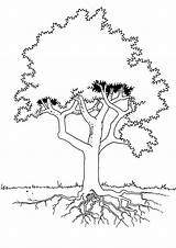 Coloring Trees Kids Pages Children sketch template