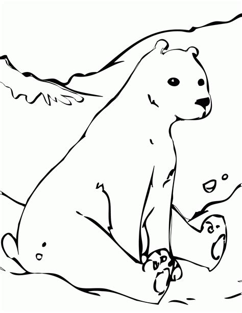 printable arctic animals coloring pages coloring home