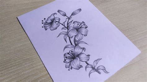 draw beautiful flowers  pencil sketch easy flower