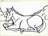 Horse Coloring Printable Templates Pages Printables Horses Coolest Heritagechristiancollege sketch template