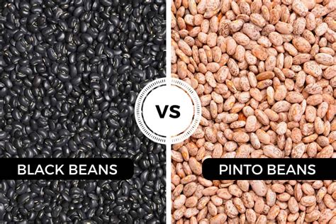 black beans vs pinto beans which should you use