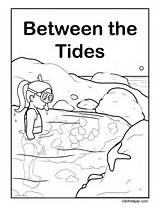Leveled Tides Between Books Ocean sketch template