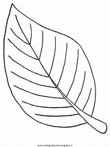 Leaves Disegnidacoloraregratis sketch template
