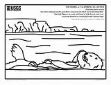 Otter Coloring Sea Pages Choose Board Library Popular sketch template