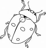 Ladybug Line Clipart Clip Coloring Bug Beetle Insect sketch template