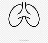 Lungs Pinclipart sketch template