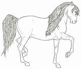 Coloring Pages Andalusian Horses Friesian Stallion Realistic Shire Rearing Color Deviantart Template Getcolorings Favourites Add sketch template