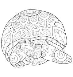turtle coloring pages  adults printable coloring pages