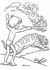 Selva Libro Colorear Giungla Dschungelbuch Dschungel Shere Shir Feuer Websincloud Fuoco Angst Desenho Mowgli Ausmalbild Stampare Paura Tegninger Páginas Disegnare sketch template