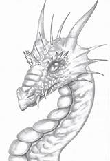 Dragon Pencil Sketch Drawings Dragons Sketches Deviantart Drawing Draw Tattoo Drawn Cute Mythical Fantasy Tattoos Portrait Choose Board sketch template