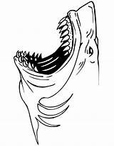 Sharks Jaws Coloringtop Bible Tiger sketch template