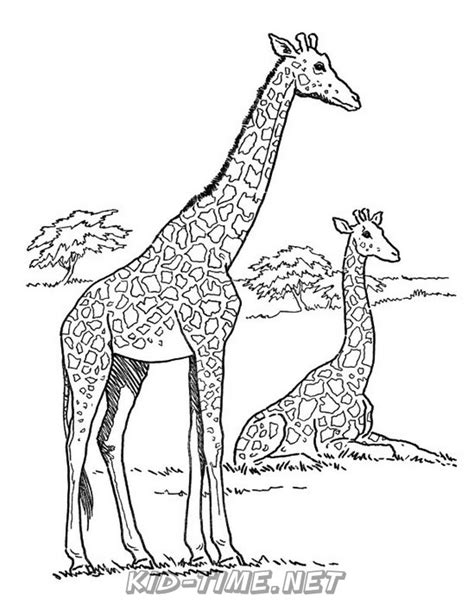 baby giraffe animals coloring book pages sheets kids time fun