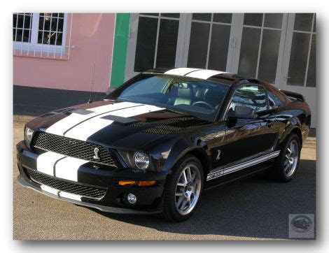 ford mustang gt shelby biete  cars