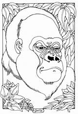Gorilla Coloring Pages Printable Colouring Monster Color Kids Choose Board Family Happy Baby Animal sketch template
