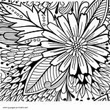 Coloring Pages Flower Adults Grown Flowers Book Print Printable Look Other sketch template
